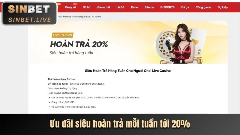 Hoàn trả tiền cược thua hàng ngày/tuần